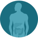 Alteraciones Digestivas - Disbiosis Intestinales